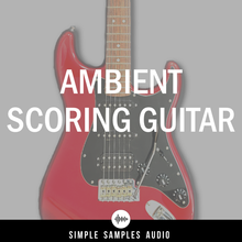 Load image into Gallery viewer, Ambient Scoring Guitar