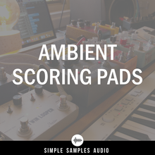 Load image into Gallery viewer, Ambient Scoring Pads