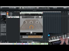 Load and play video in Gallery viewer, Hammered Dulcimer Collection