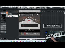 Load and play video in Gallery viewer, Horror Cello