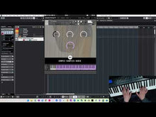 Load and play video in Gallery viewer, Simple Concert Harp