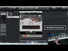 Load and play video in Gallery viewer, Horror Violin
